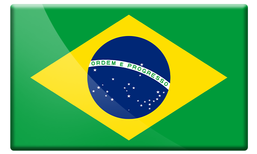 Português - Brasil